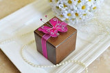 12 Rose Print Brown Favor Boxes with Magenta Gem Butterfly Ribbon - le petit pain