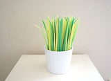 Modern Rubber Green Grass Pens Lemongrass Pens Grass Leaf Planter Home Decor- Le Petit Pain