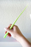 Modern Rubber Green Grass Pens Lemongrass Pens Grass Leaf Planter Home Decor- Le Petit Pain