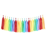Rainbow Tassel Garland Banner Party Decoration- Le Petit Pain